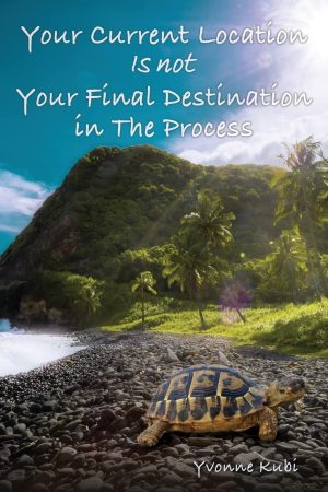 Your Current Location Is Not Your Final Destination in the Process